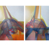 Jorge_posada-silent_witnesses-diptych_i-oil_on_canvas