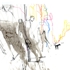 Will_barras-_bark