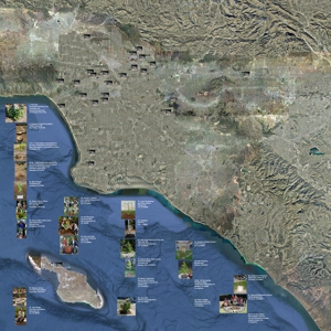 Tree-baby-map-large-composite-web