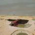 Cargo_shelter