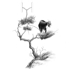 Js_disconnected_goat
