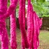 Outside_rope