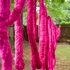 Outside_rope