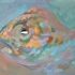 Fish-2009-small