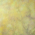 Jan_20th