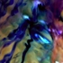 Blue_orchid