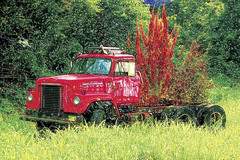 Aldrichsttruck1-1066