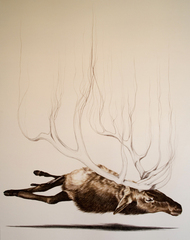  Untitled  ,