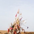 16_daneyal