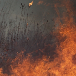 Burn_23