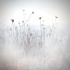 Burn_81