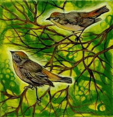 ,Carrie Lederer