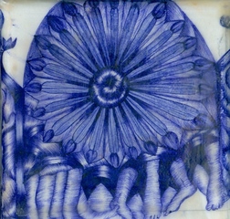 ,Tara Foley