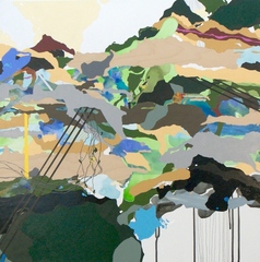 Hills Lumps and Cascades,Elizabeth Mooney