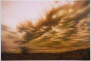 01090207-_photo__c__joshua_white