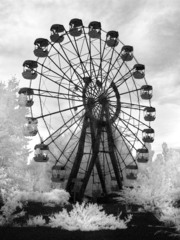 Chernobylnfrared2008_19