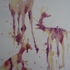 Huntingscenes_011