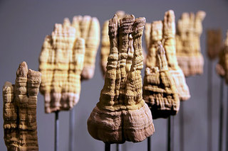 Memory of a Landscape,Rachel Menashe-Dor