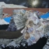 Futurearts