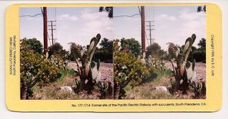 Former site of the Pacific Electric Railway with succulents, South Pasadena, CA,Susan Lutz