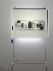 Connected Jugs for White Room,Joan Tanner
