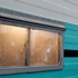 Holly_banner02