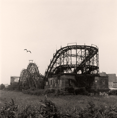 The Thunderbolt,barbara mensch