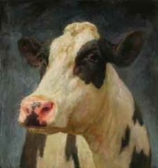 Cow,Karel Buskes