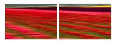 Passing_through_the_v_bb356