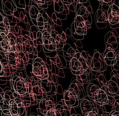 Crw_2115_pollock_s_trail