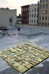 Yellow Pages Installation,Gunter Puller