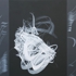 Pooya_aryanpour__untitled__2007