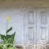 Indian_wall
