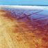 Frazer_island
