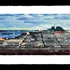 San_francisco__4