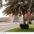 Project_image-8