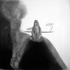 More_eccentrickery_2_charcoal_on_paper_59_x_59