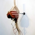 _3__centraltendonrespiration