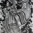 Rosh_hashana