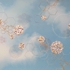 Sky3
