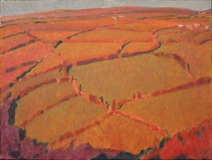 Ancient_penwith_fields