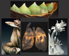 Curiosities09_2
