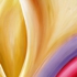 A_bird_1_new