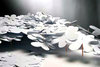 Paperworks