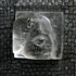Silent_witness_ii_2006