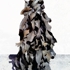 Kkelley_low_res_for_web_only