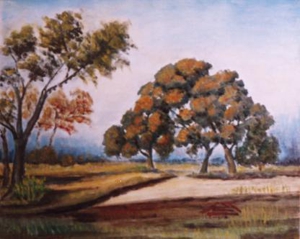 Sc197