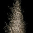 Pampas_1024w