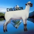 Clsheepchillaxin