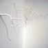 Seaweed_2-1